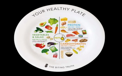 Where can you find a good plate with portion control? (Check out these top recommended choices for your kitchen)