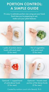 Are portion plates good for losing weight? (Find out how they help you control how much you eat)