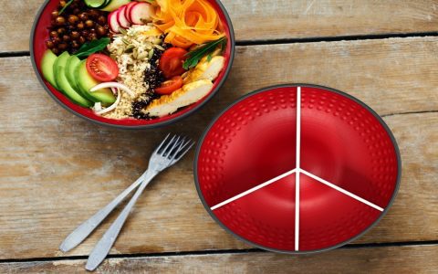 Are portion plates good for losing weight? (Find out how they help you control how much you eat)
