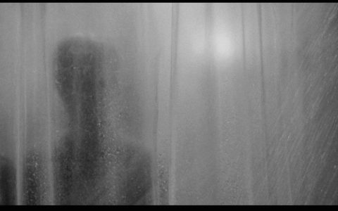 Janet Leigh Nude in Psycho: Was It Really Her? Heres What We Know About That Famous Scene.