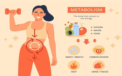 How to use metabolism miracle for weight loss 5 easy steps revealed