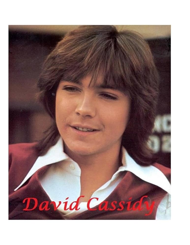 David Cassidy Book History: Uncover Untold Stories Inside!