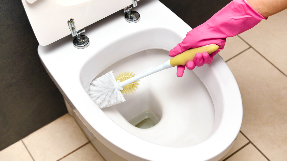 Is Mold in Your Toilet Tank Harming You? Diabetes Connection Explained Simply.