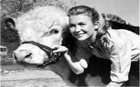 Actress Juliet Mills Today How Old Now and What She Does