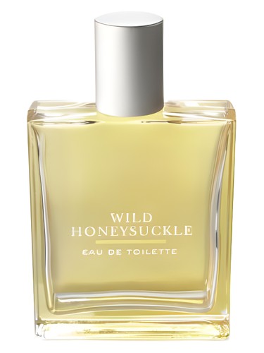 Is Wild Honeysuckle Bath and Body Works Worth It Honest User Review