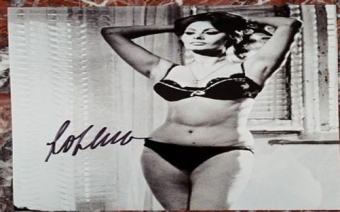 How Sophia Loren Body Measurements Made Her Famous Star