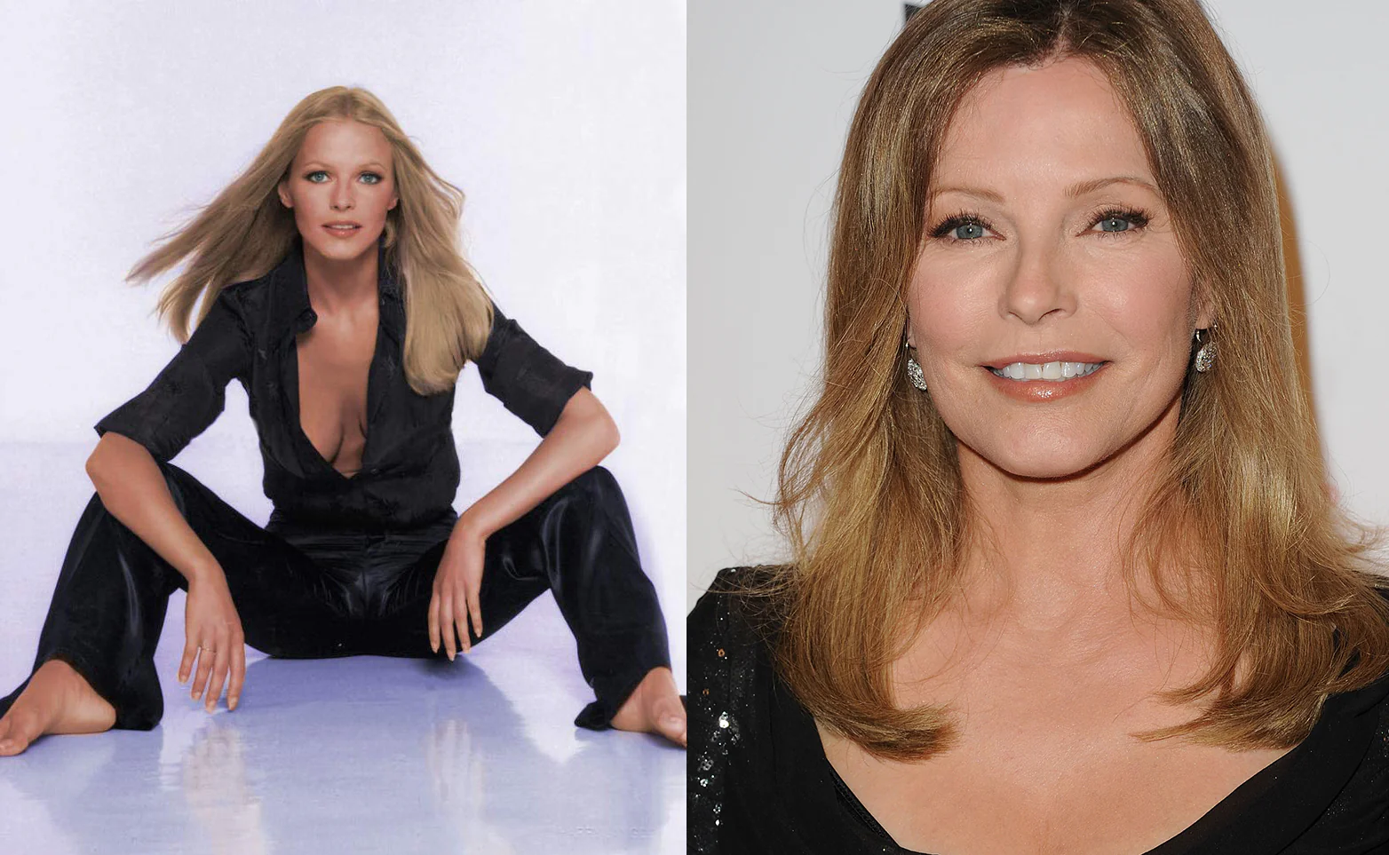 Cheryl Ladd Career 2024 (Recent Projects and Achievements)