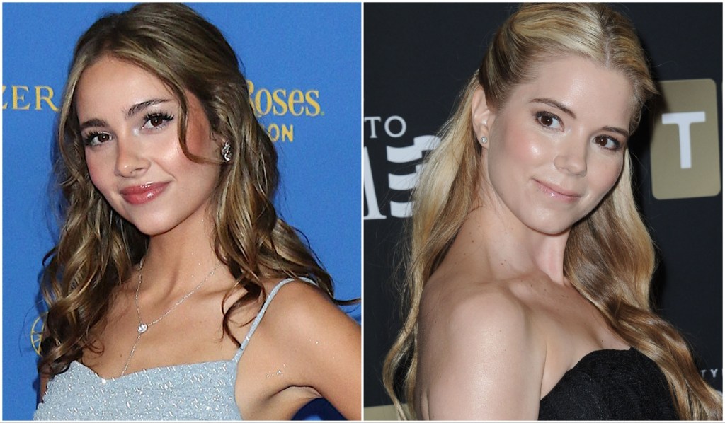Molly GH Brands Compared Find Which One Suits You Best