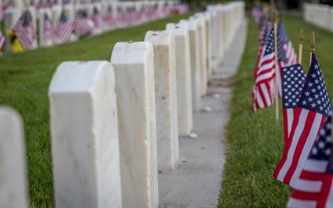 Veterans Day Freebies 2024 List for Military Discounts