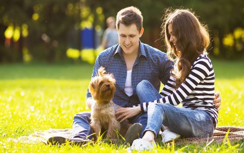 Hug a cat what are the health benefits for you and your pet answers