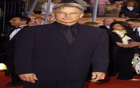mark harmon pics where to find free? (top 5 websites you can use now!)