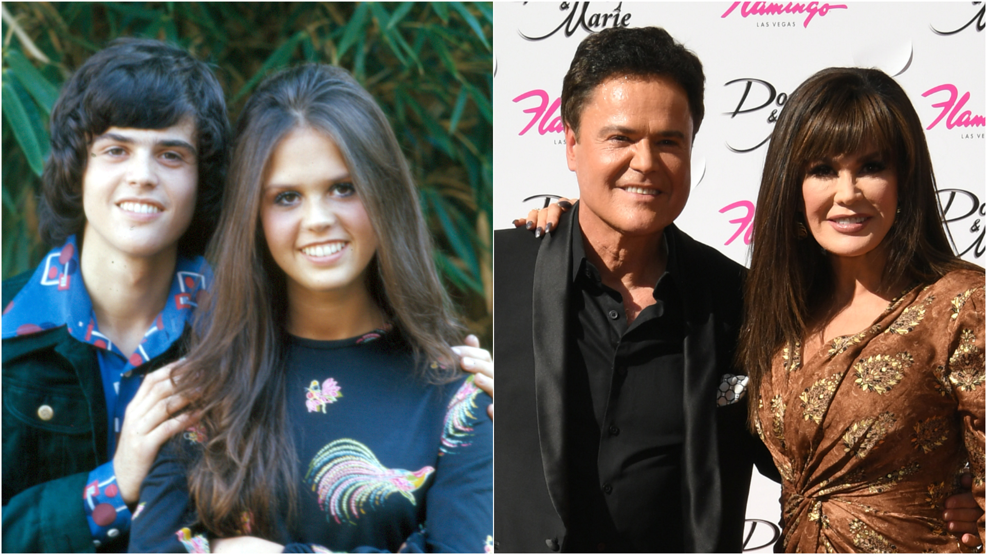 Donny Marie Osmond Career Timeline - Understand Their Rise to Fame